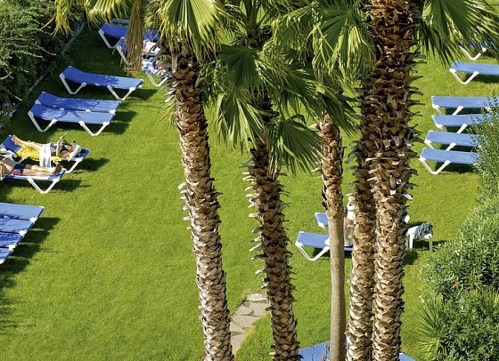 Tropic Park