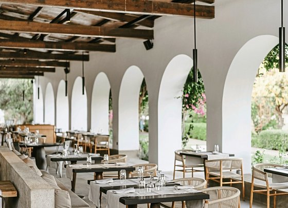 Minos Beach Art - Bacchus Restaurant