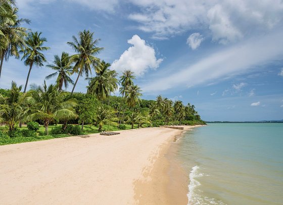 Barceló Coconut Island