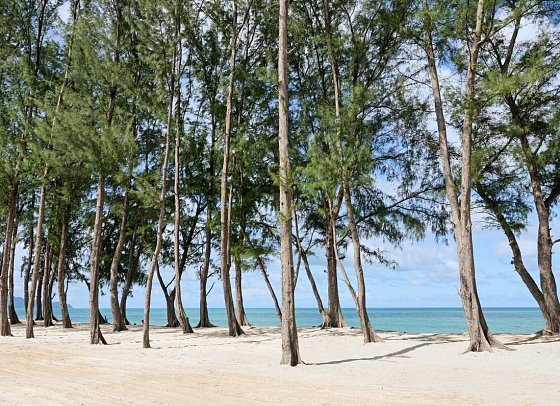 Riu Palace Phuket