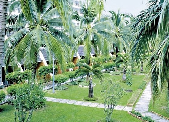 Patong Resort