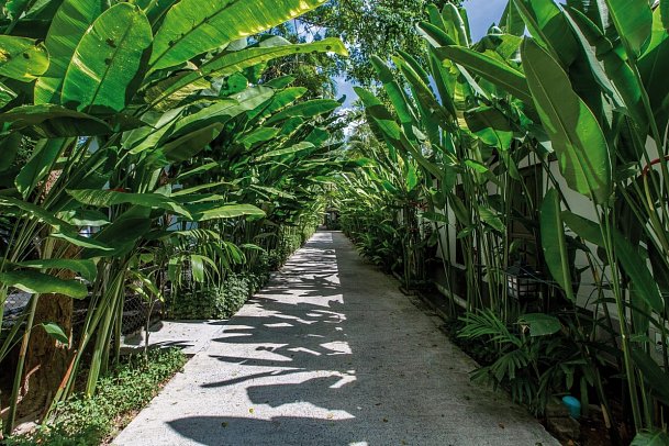 Nai Yang Beach Resort & Spa