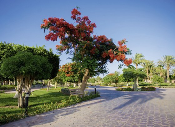 Pharaoh Azur Resort