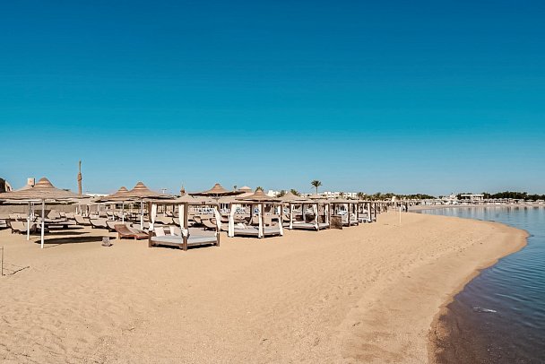 Calimera Blend Paradise