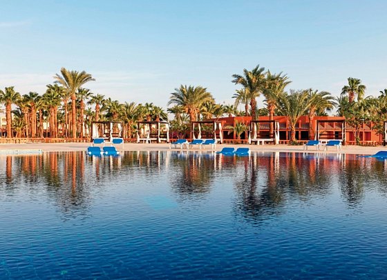 Calimera Blend Paradise