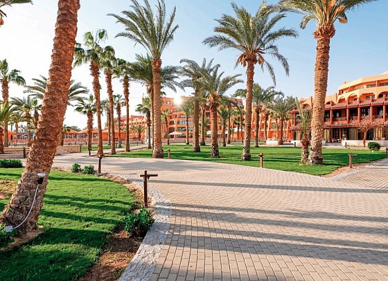 Calimera Blend Paradise