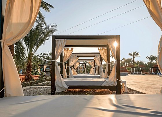 Calimera Blend Paradise