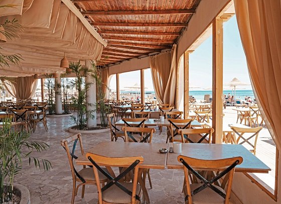 Calimera Blend Paradise