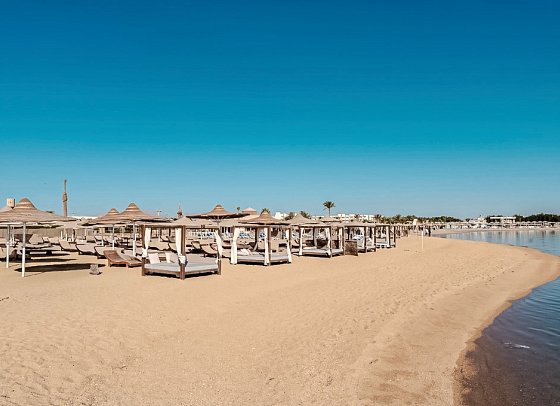 Calimera Blend Paradise