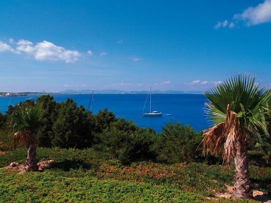 Club Sunway Punta Prima