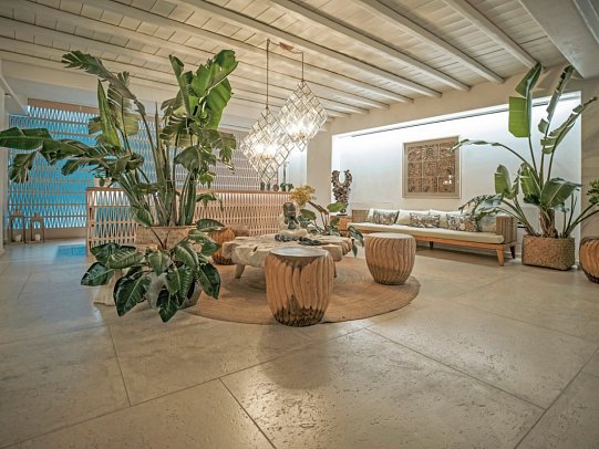 Asty Mykonos Hotel & Spa