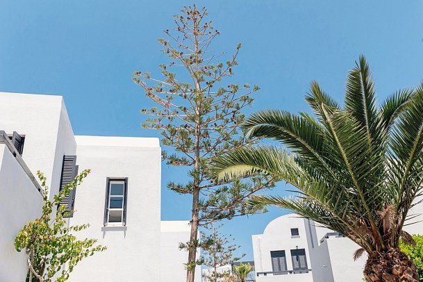 Scorpios Beach Santorini