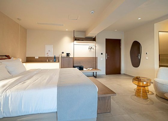 Arato by E-Geo - Wohnbeispiel Executive Suite (Zimmercodierung WT1)
