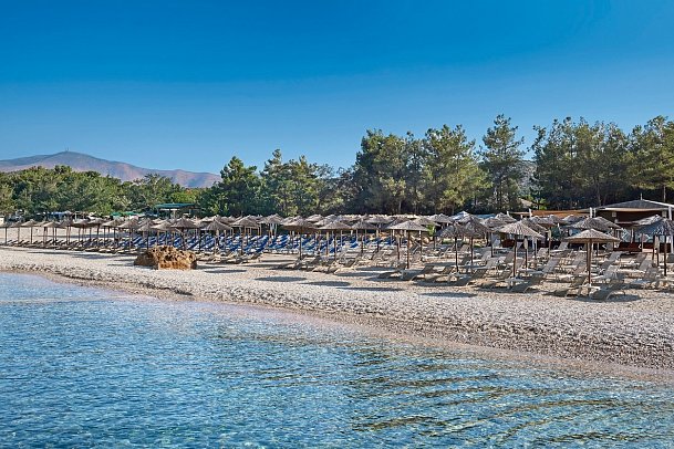 Alexandra Beach Spa Resort - Wohnbeispiel Doppelzimmer Deluxe Gartenblick (Zimmercodierung DDG)