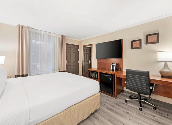 Comfort Inn Santa Monica - Wohnbeispiel Standard 1 Queen Bed (Zimmercodierung UG2)