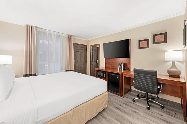 Comfort Inn Santa Monica - Wohnbeispiel Standard 1 Queen Bed (Zimmercodierung UG2)