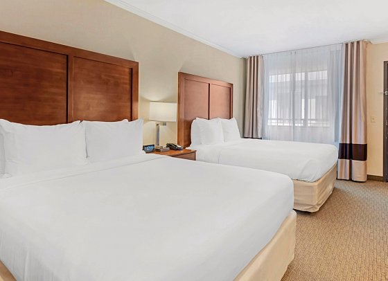 Comfort Inn Santa Monica - Wohnbeispiel Standard 2-Queen Beds (Zimmercodierung UG4)
