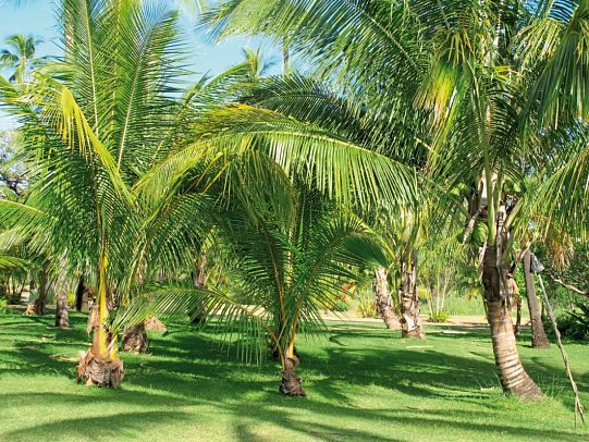 Waimea Plantation Cottages
