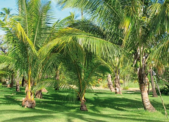 Waimea Plantation Cottages