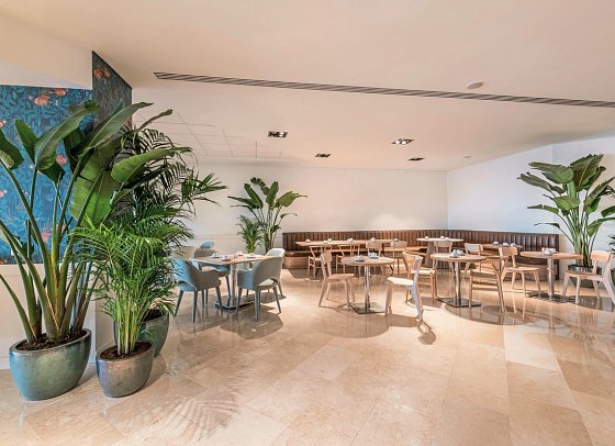 Sesimbra Oceanfront Hotel