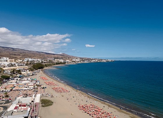 El Palmar