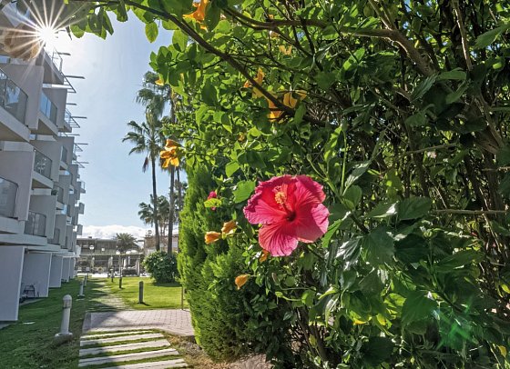 El Palmar