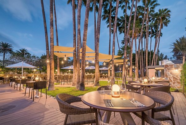 Barceló Margaritas ROYAL LEVEL