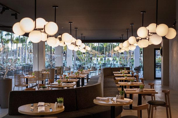 Tabaiba Princess - Kokoro Bar