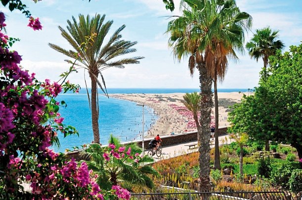 Bull Boutique Casas Carmen