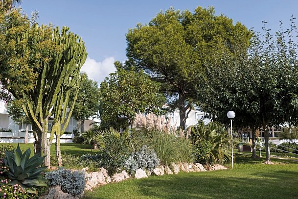 Sagitario Princesa Playa