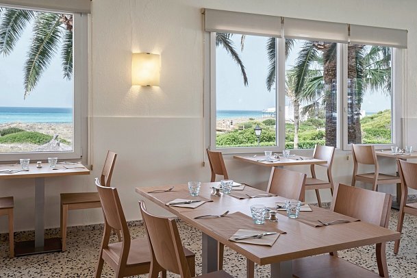 Sol Milanos Pingüinos