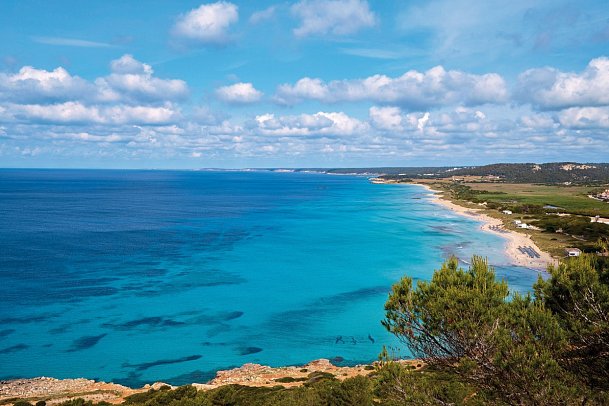 Sol Milanos Pingüinos