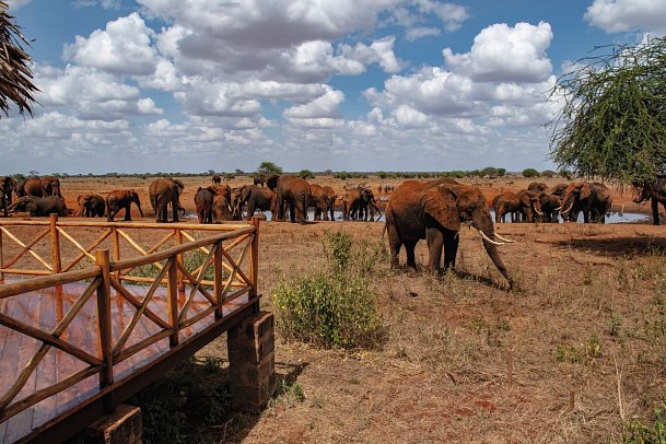 Papillon Lagoon Reef