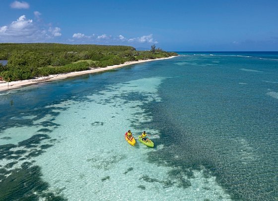Ocean Coral Spring