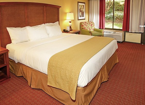 Rosen Inn at Pointe Orlando - Wohnbeispiel Standard (Zimmercodierung UG1)