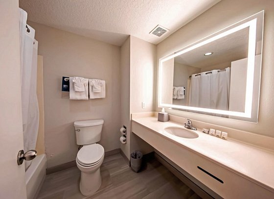 Holiday Inn Express Clermont West Orlando - Wohnbeispiel Bad (Zimmercodierung UG4)