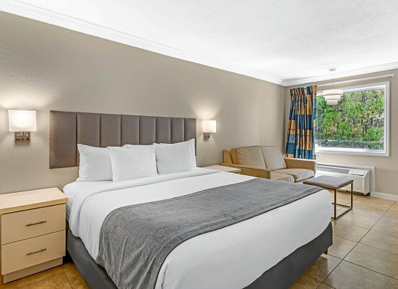 Orlando International Drive North Hotel - Standard King Room Flex (Zimmercodierung UG1)