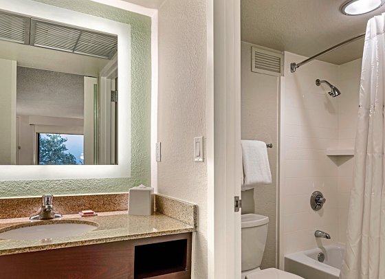 Wyndham Garden Lake Buena Vista Disney Springs Resort Area