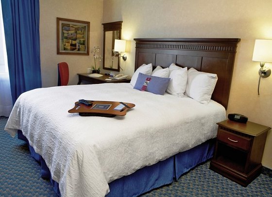 Hampton Inn & Suites - Wohnbeispiel Standard-Zimmer