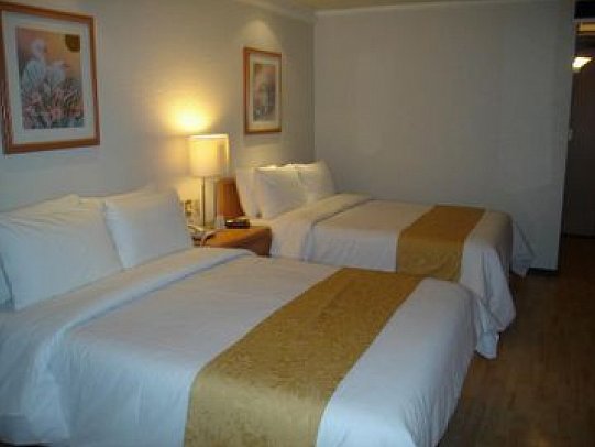Plaza Florencia Hotel