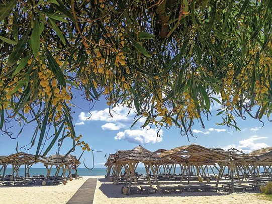 Les Orangers Beach Resort