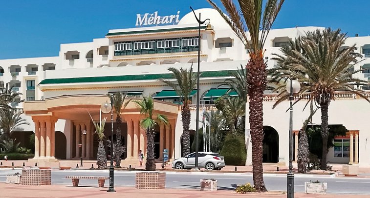 Ledger Mehari Hammamet