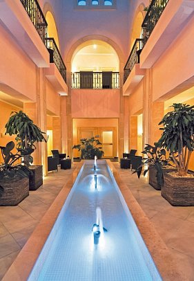 Ledger Mehari Hammamet