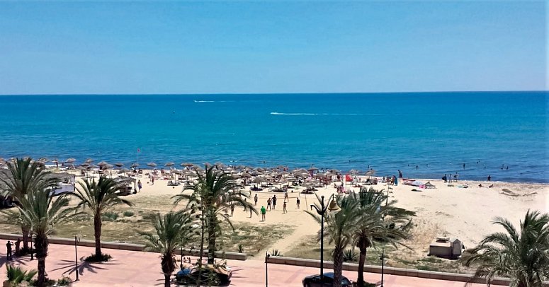 Ledger Mehari Hammamet