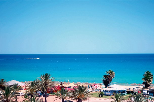 Ledger Mehari Hammamet