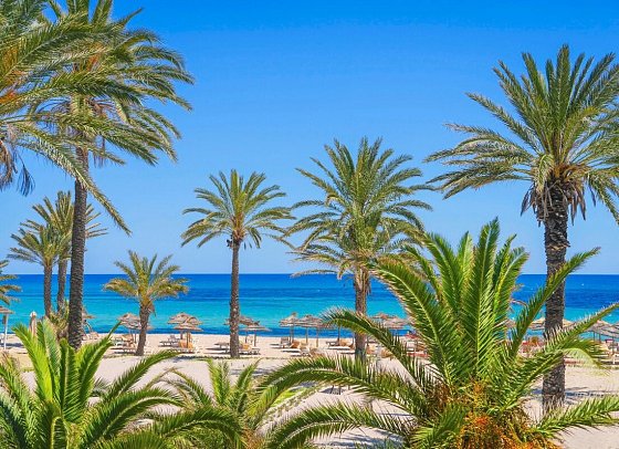 Calimera Delfino Beach Resort & Spa