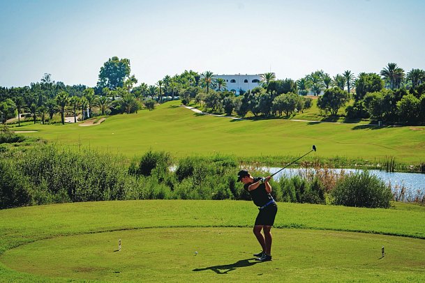 Sentido Phenicia - Citrus