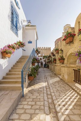 Medina Diar Lemdina