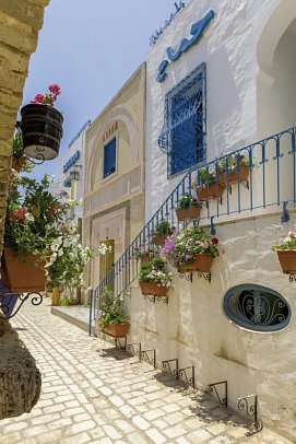 Medina Diar Lemdina