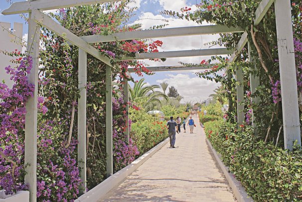 El Mouradi Club Selima